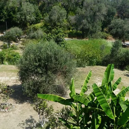 アパート Absolute Serenity In Corfu's Quiet Haven